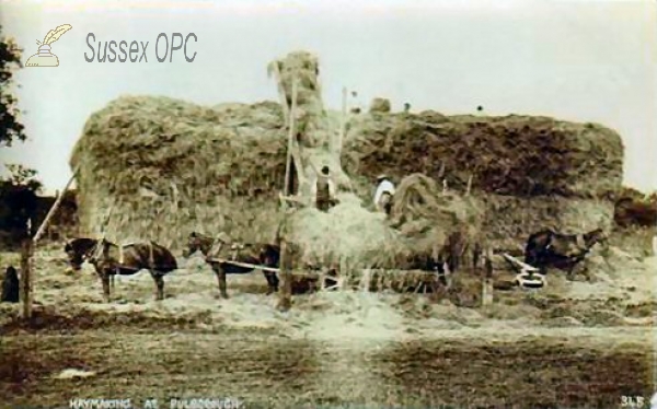 Image of Pulborough - Hay Making