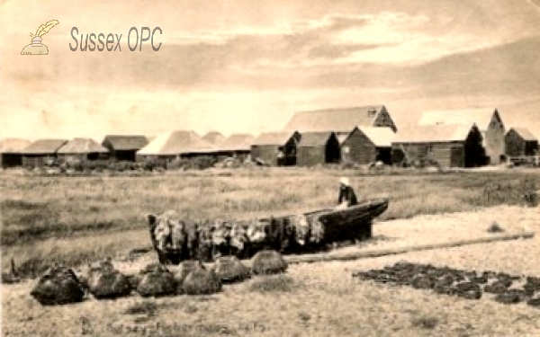 Image of Selsey - The beach, Fishing boat, Lobster pots and Fishing huts