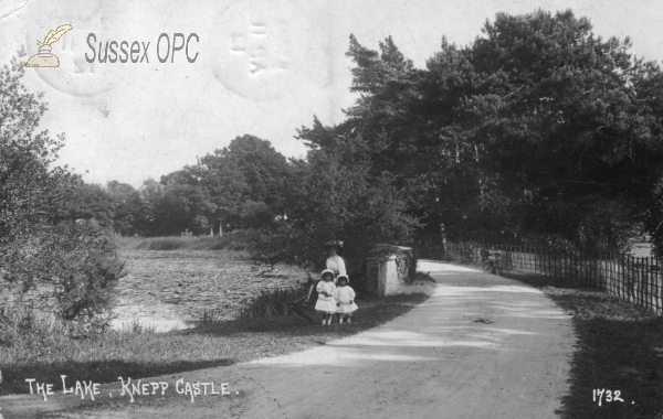 Image of Shipley - Knepp Castle, The Lake