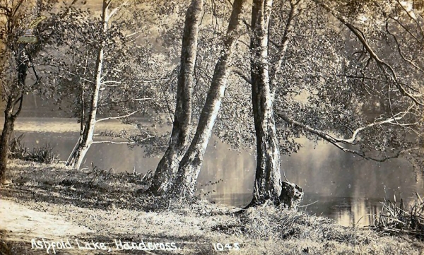 Image of Handcross - Ashfold Lake