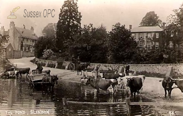 Image of Slindon - The Pond & Rectory