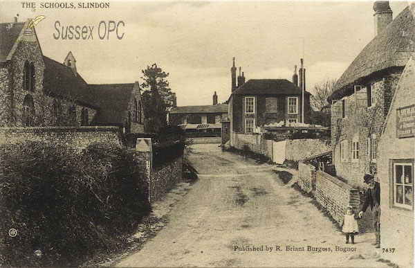 Image of Slindon - Schools