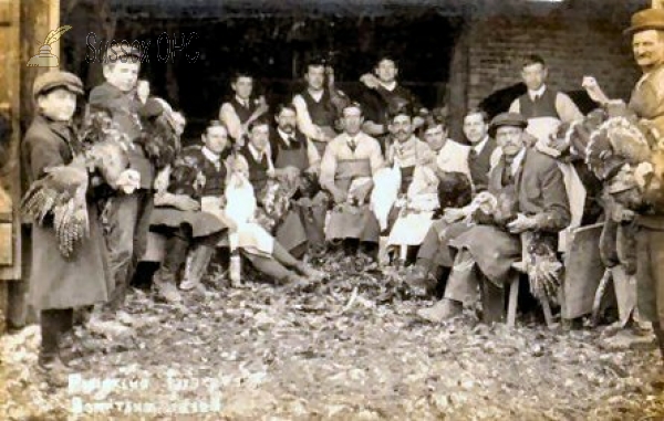 Image of Sompting - Plucking Turkeys