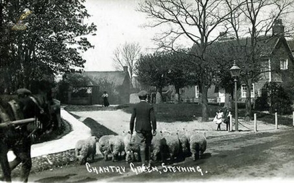 Image of Steyning - Chantry Green