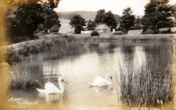 Image of Steyning - Mill Stream