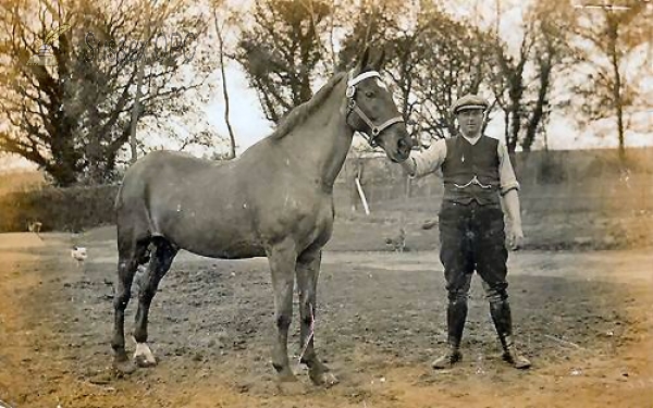 Image of Storrington - Horse called Tiger with Groom