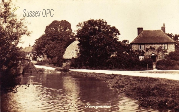 Image of Tangmere - The Pond