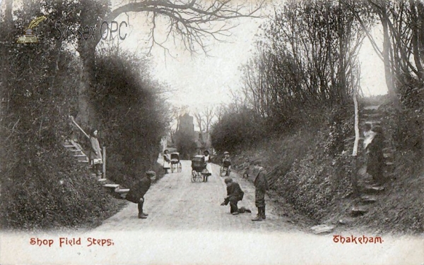 Image of Thakeham - Shop Field Steps