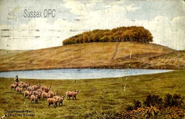 Washington - Chanctonbury Ring & Dew Pond