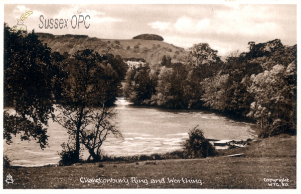 Washington - Chanctonbury Ring