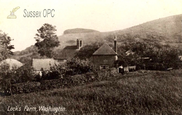 Image of Washington - Locks Farm
