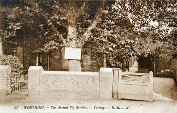 Image of West Tarring - Fig Gardens