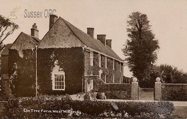 Image of West Wittering - Elm Tree Farm