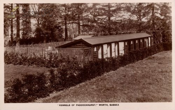 Image of Worth - Paddockhurst Kennels